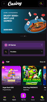 Casiny Casino Review - A Comprehensive Guide to Online Gaming